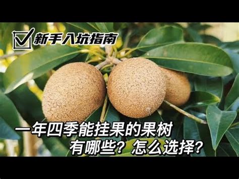 北部適合種的水果|5種北部易種高產果樹